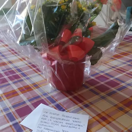 Soffitto Dipinto モンカルヴォ