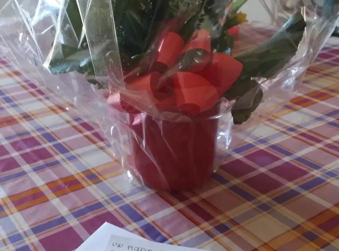 Soffitto Dipinto Moncalvo